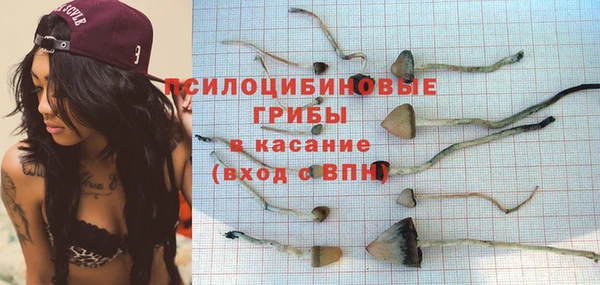 дурь Майский