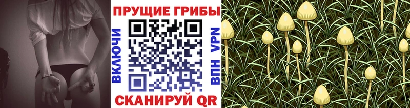 Галлюциногенные грибы Magic Shrooms  Нижняя Тура 