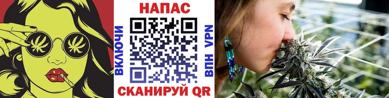 Канабис индика  Нижняя Тура 